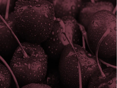 The Neptune Collection