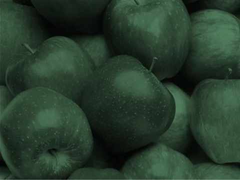 The Triton Collection